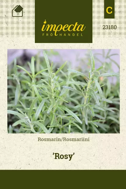 ROSMARIINI ROSY - Muut yrttien siemenet - 7332756231807 - 1