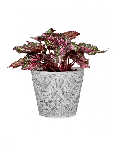 RUUKKU VINTAGE WHITE 15 CM - Keraamiset ruukut - 4002477670157 - 2