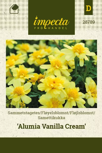 SAMETTIKUKKA ALUMIA VANILLA CREAM - Muut kesäkukkien siemenet - 7332756287897 - 1