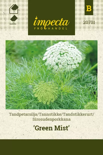 SIROSUDENPORKKANA GREEN MIST - Muut kesäkukkien siemenet - 7332756207017 - 1