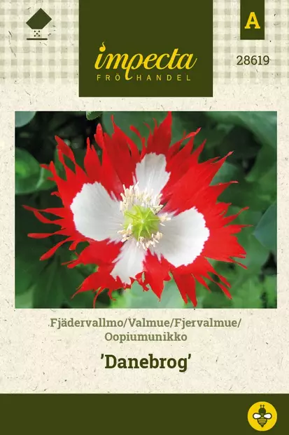 SULKAUNIKKO DANEBROG - Muut kesäkukkien siemenet - 7332756286197 - 1