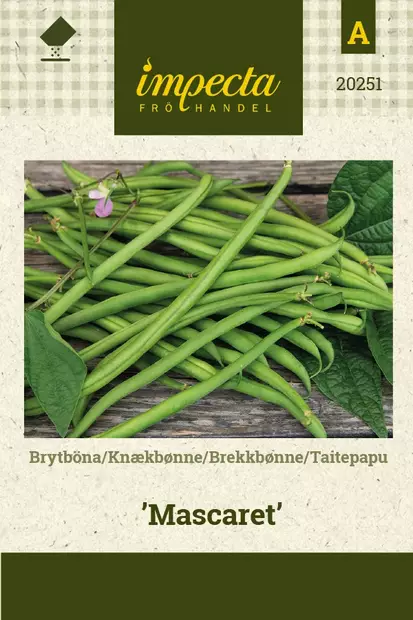 TAITEPAPU MASCARET - Herneen siemenet - 7332756202517 - 1