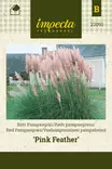 PAMPAHEINÄ PINK FEATHER - Muut kesäkukkien siemenet - 7332756220917 - 1