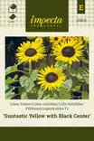 AURINGONKUKKA SUNT. YELLOW WITH BLACK CE - Auringonkukan siemenet - 7332756284117 - 1