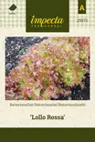 BATAVIASALAATTI LOLLO ROSSA - Salaatin siemenet - 7332756295717 - 1