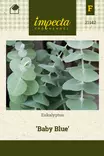 EUKALYPTUS BABY BLUE - Muut kesäkukkien siemenet - 7332756211427 - 1
