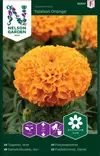 ISOSAMETTIKUKKA TAISHAN ORANGE - Muut kesäkukkien siemenet - 7312600956377 - 2
