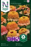 ISOTSINNIA ZINDERELLA PEACH - Tsinnian siemenet - 7312600960107 - 2