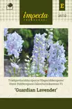 JALORITARINKANNUS GUARDIAN LAVENDER - Perennojen siemenet - 7332756267127 - 1