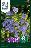 KURJENKELLO - Perennojen siemenet - 7312600933927 - 1