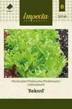LEHTISALAATTI REKORD - Salaatin siemenet - 7332756297407 - 1
