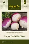 NAURIS PURPLE TOP WHITE GLOBE - Muut vihannesten siemenet - 7332756293317 - 1