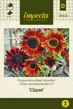 PUNA-AURINGONKUKKA CLARET - Auringonkukan siemenet - 7332756284247 - 1
