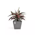 ROTTERDAM RUUKKU HARMAA 30 CM - Muoviruukut - 5411942740537 - 2