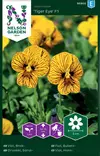 SARVIORVOKKI TIGER EYE F1 - Muut kesäkukkien siemenet - 7312600959057 - 2