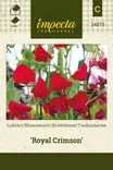 TUOKSUHERNE ROYAL CRIMSON - Muut kesäkukkien siemenet - 7332756248737 - 1