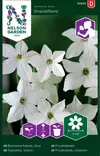 VALKOTUPAKKA GRANDIFLORA - Muut kesäkukkien siemenet - 7312600933507 - 2