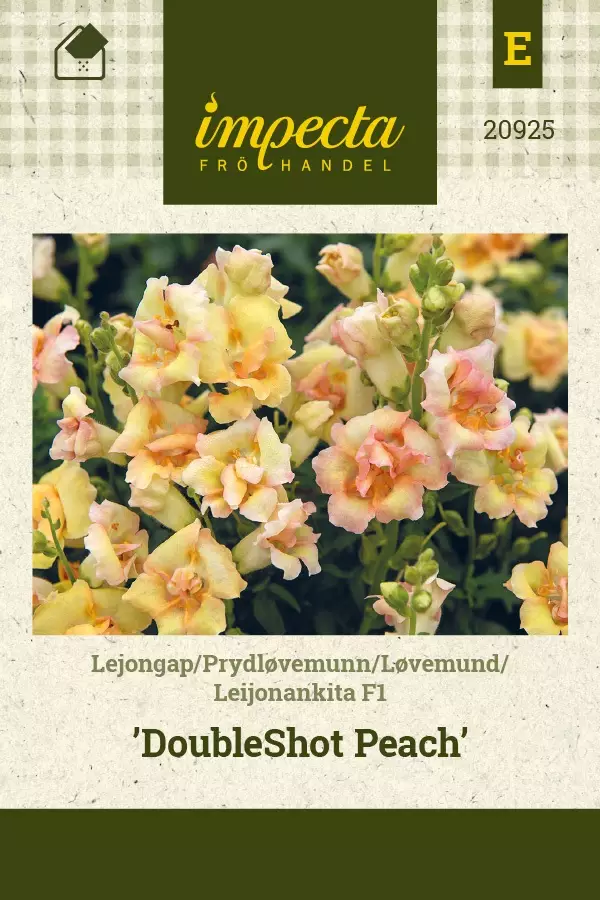 LEIJONANKITA DOUBLESHOT PEACH - Muut kesäkukkien siemenet - 7332756209257 - 1