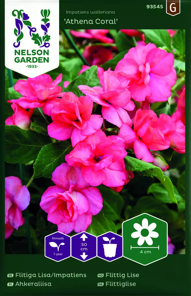 AHKERALIISA ATHENA CORAL F1 - Muut kesäkukkien siemenet - 7312600935457 - 1