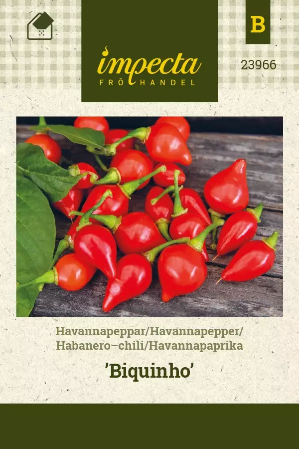 HAVANNAPAPRIKA BIQUINHO - Paprikan ja chilin siemenet - 7332756239667 - 1