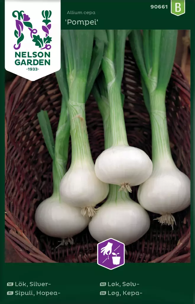 HOPEASIPULI POMPEI - Muut vihannesten siemenet - 7312600906617 - 2