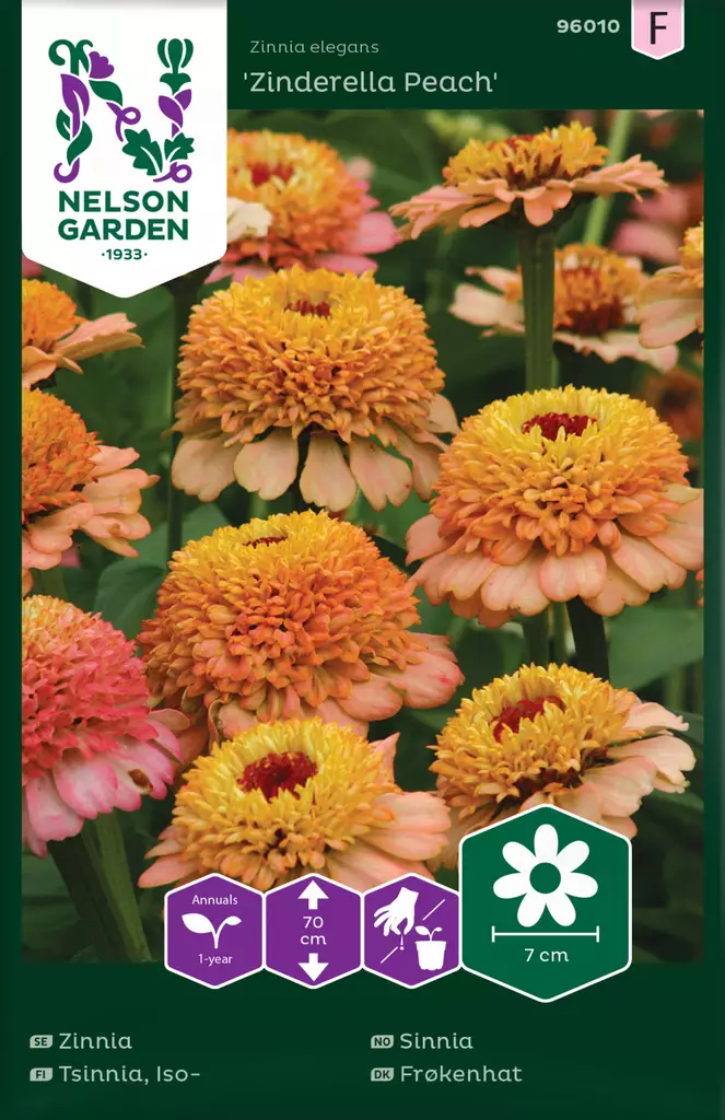 ISOTSINNIA ZINDERELLA PEACH - Tsinnian siemenet - 7312600960107 - 2