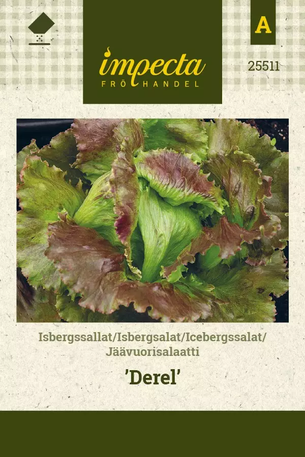 JÄÄVUORISALAATTI DEREL - Salaatin siemenet - 7332756255117 - 1