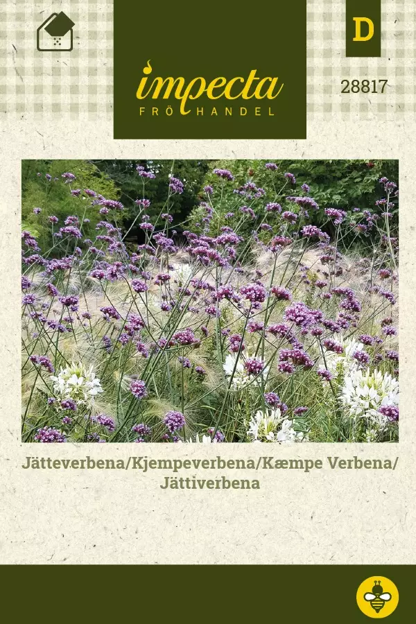 JÄTTIVERBENA - Muut kesäkukkien siemenet - 7332756288177 - 1