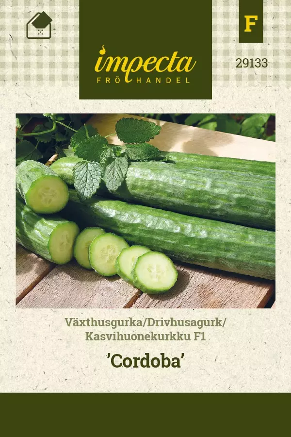 KASVIHUONEKURKKU CORDOBA - Kurkun siemenet - 7332756291337 - 1