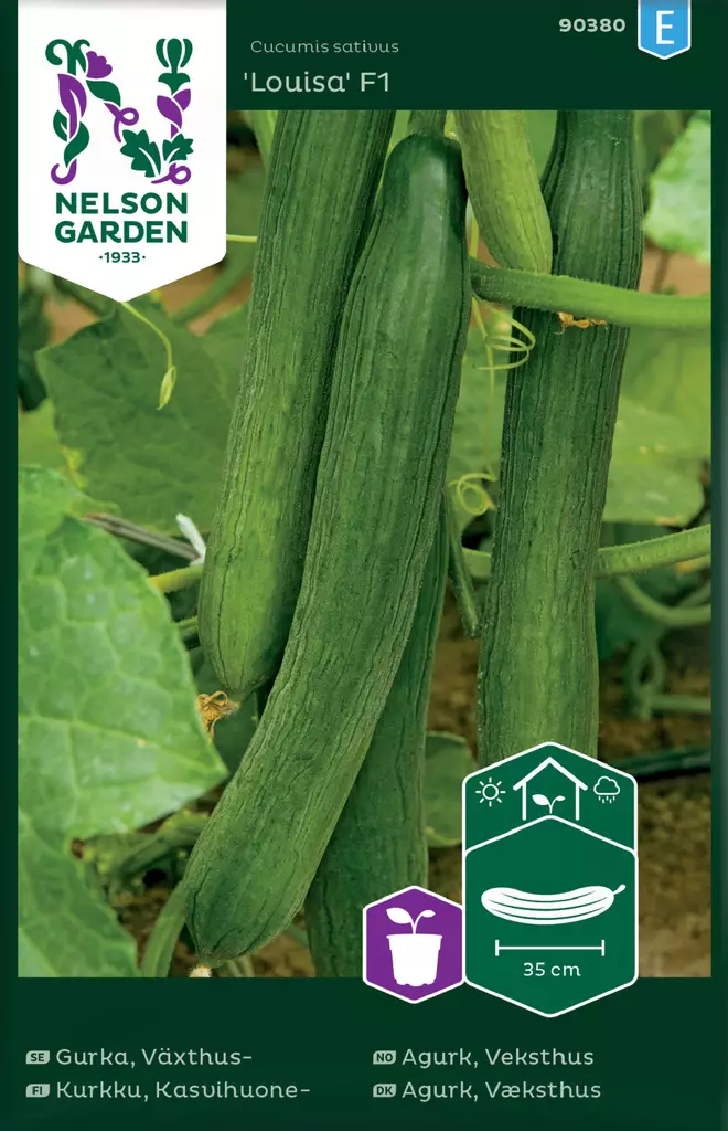 KASVIHUONEKURKKU LOUISA F1 - Kurkun siemenet - 7312600903807 - 2