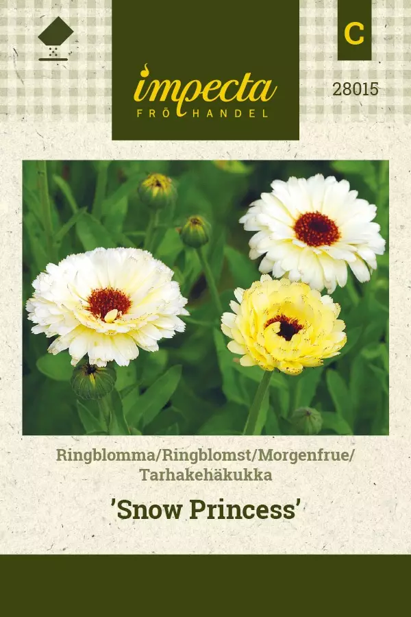 KEHÄKUKKA SNOW PRINCESS - Kehäkukan siemenet - 7332756280157 - 1