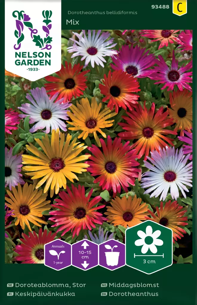 KESKIPÄIVÄNKUKKA, SEOS - Muut kesäkukkien siemenet - 7312600934887 - 2