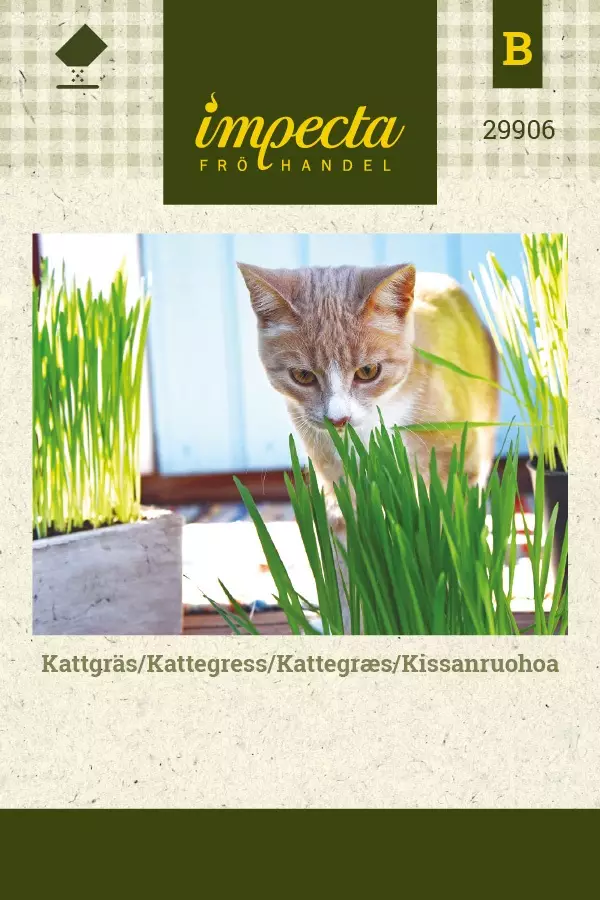 KISSANRUOHO - Muut kesäkukkien siemenet - 7332756299067 - 1