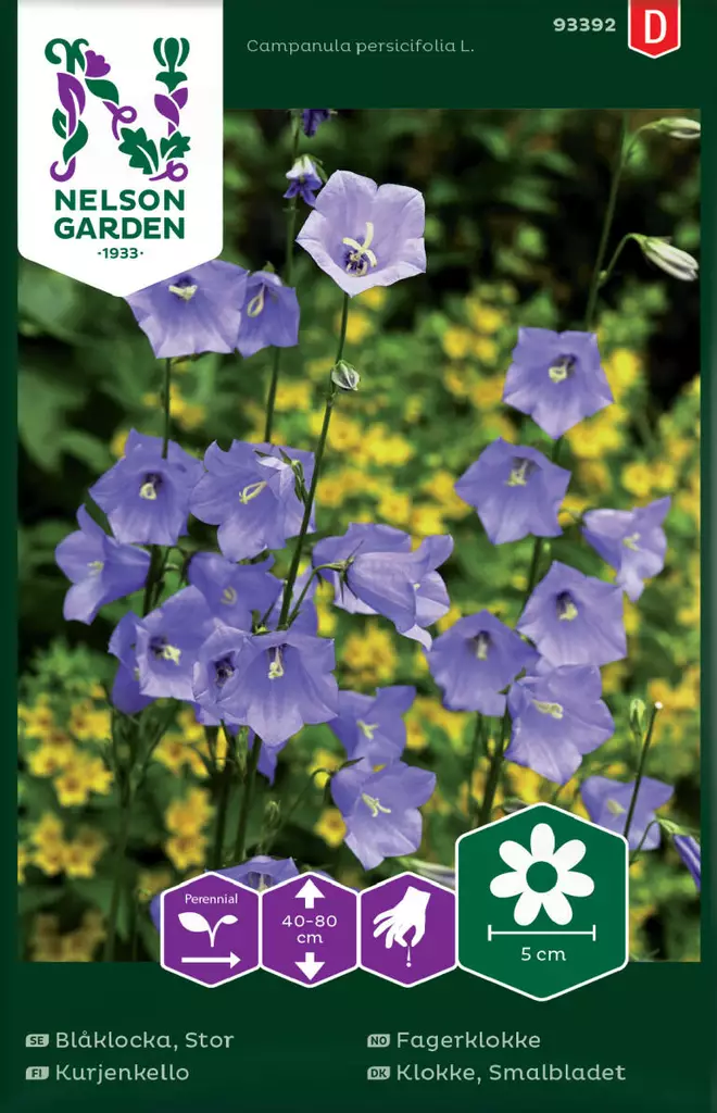 KURJENKELLO - Perennojen siemenet - 7312600933927 - 1