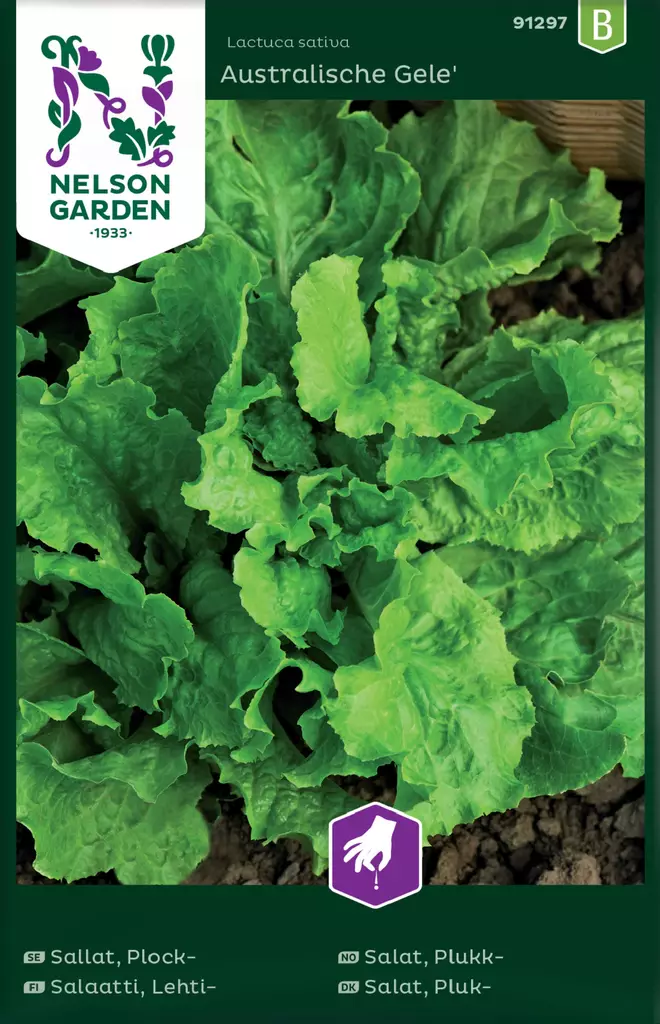 LEHTISALAATTI AUSTRIALAINEN - Salaatin siemenet - 7312600912977 - 2