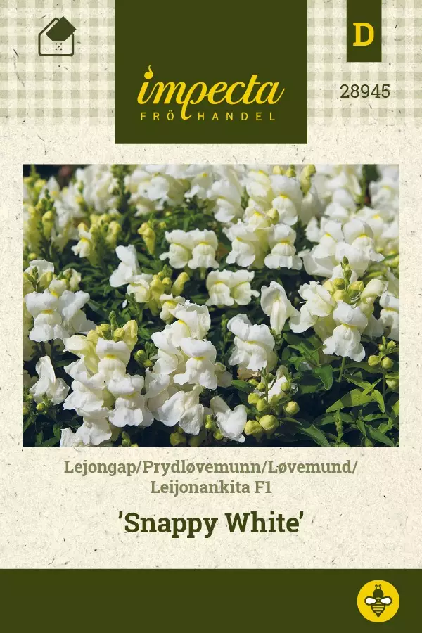 LEIJONANKITA SNAPPY WHITE - Muut kesäkukkien siemenet - 7332756289457 - 1