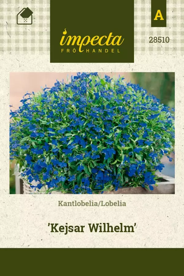 LOBELIA KEJSAR WILHELM - Muut kesäkukkien siemenet - 7332756285107 - 1