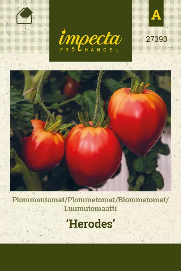 LUUMUTOMAATTI HERODES - Tomaatin siemenet - 7332756273937 - 1