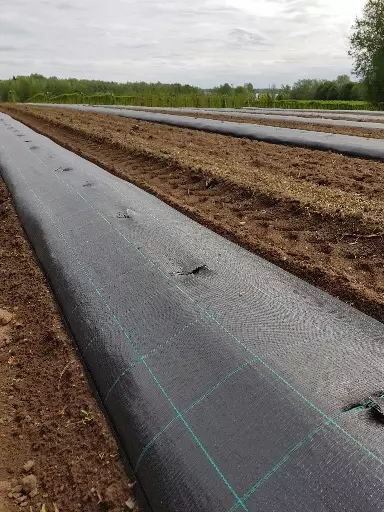 MANSIKKA-/KATEKANGAS 10 m²,1 x 10 m - Kankaat, harsot ja verkot - 6430040626917 - 1