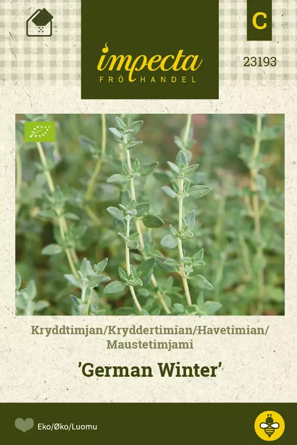 MAUSTETIMJAMI GERMAN WINTER - Muut yrttien siemenet - 7332756231937 - 1