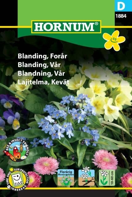 NIITTYKUKKASIEMENSEOS KEVÄÄN KUKKIJAT - Niittykukkien siemenet - 5708787018847 - 1