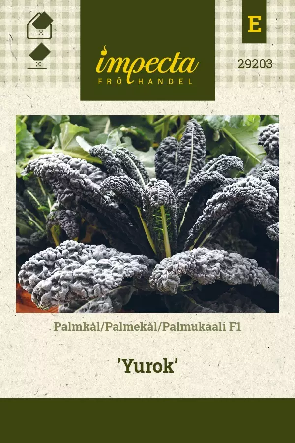 PALMUKAALI YUROK - Kaalin siemenet - 7332756292037 - 1