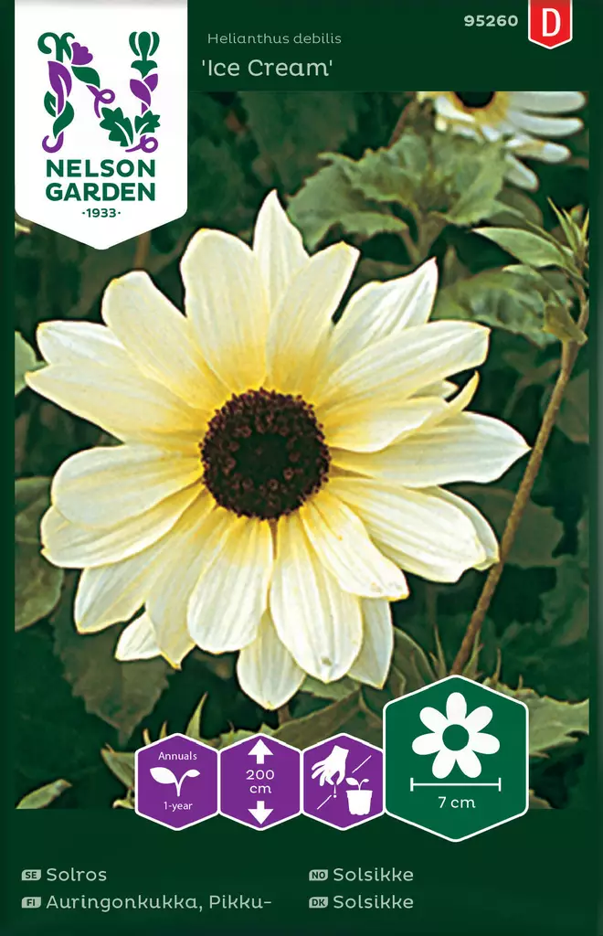 PIKKUAURINGONKUKKA ICE CREAM - Auringonkukan siemenet - 7312600952607 - 2
