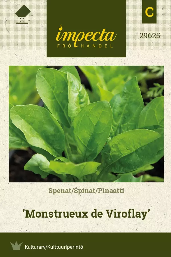 PINAATTI MONSTRUEUX DE VIROFLAY - Muut vihannesten siemenet - 7332756296257 - 1