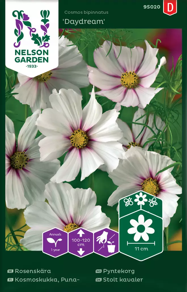 PUNAKOSMOSKUKKA DAYDREAM - Muut kesäkukkien siemenet - 7312600950207 - 2