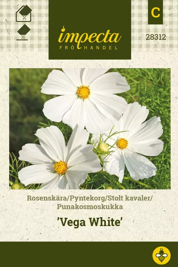 PUNAKOSMOSKUKKA VEGA WHITE - Muut kesäkukkien siemenet - 7332756283127 - 1