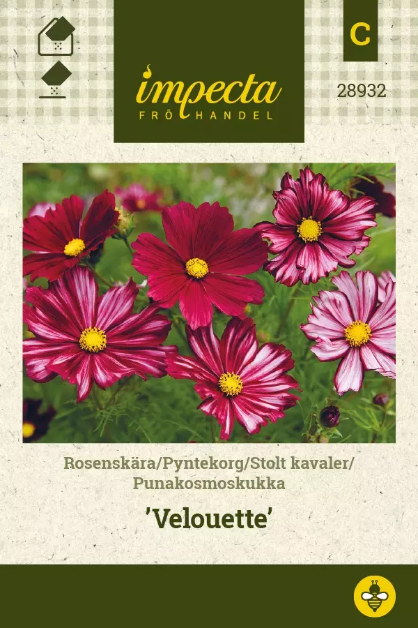 PUNAKOSMOSKUKKA VELOUETTE - Muut kesäkukkien siemenet - 7332756289327 - 1