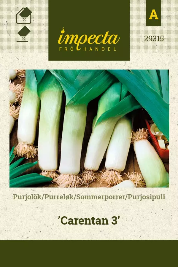 PURJOSIPULI CARENTAN 3 - Muut vihannesten siemenet - 7332756293157 - 1