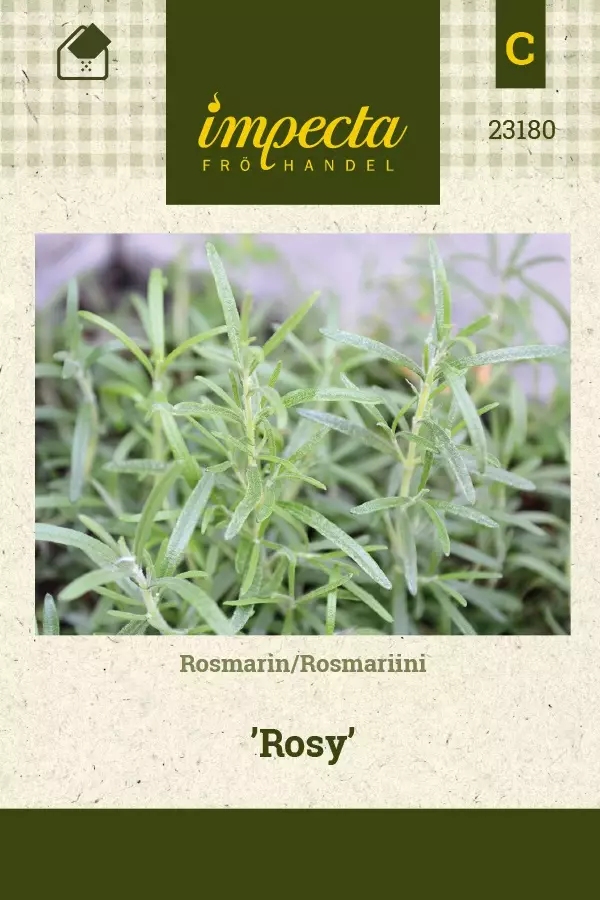 ROSMARIINI ROSY - Muut yrttien siemenet - 7332756231807 - 1
