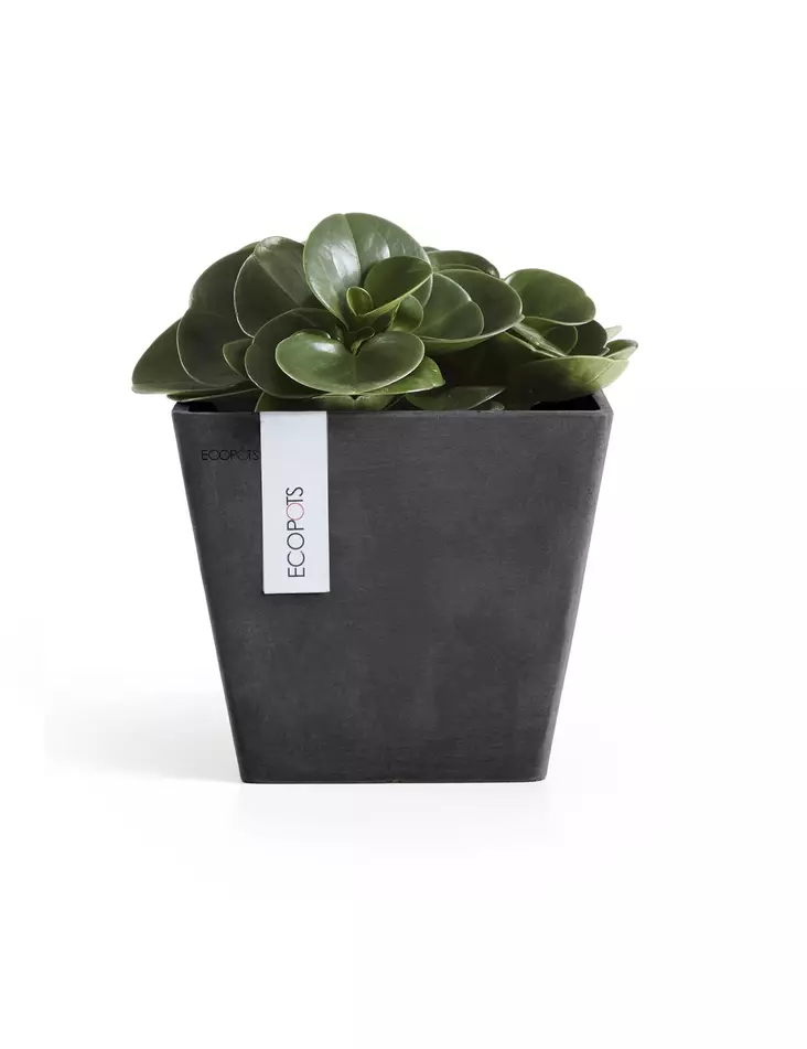 ROTTERDAM RUUKKU TUMMANHARMAA 20 CM - Muoviruukut - 5411942740667 - 1